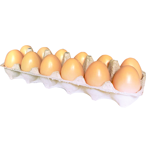 Dozen Artificial Brown Egg Open Carton