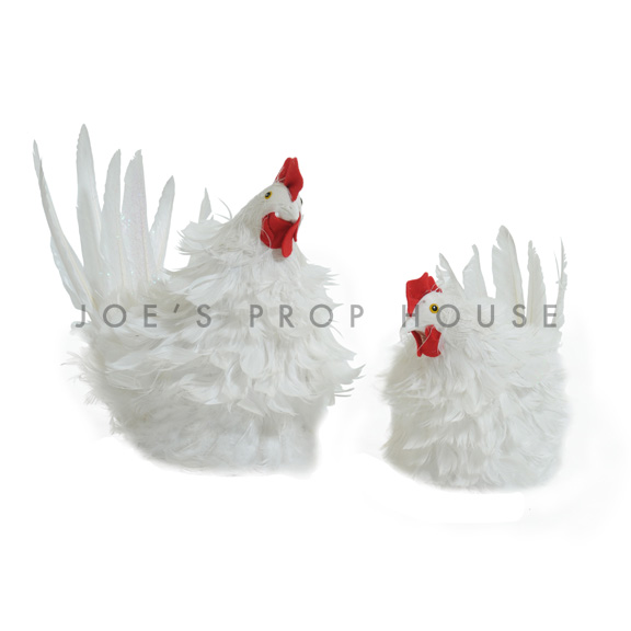 Poules Blanches