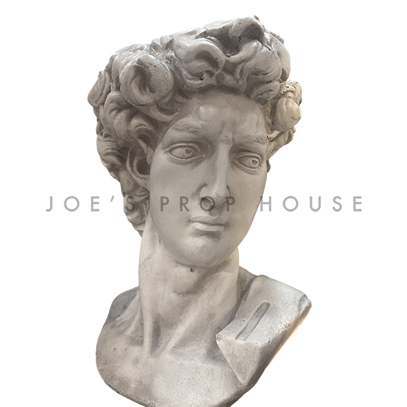 Extra Large Classical Decoline Bust of David H22in